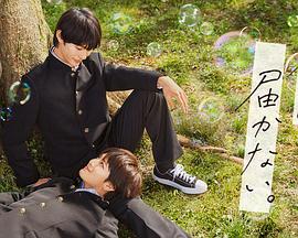 大型企业网站seo优化服务